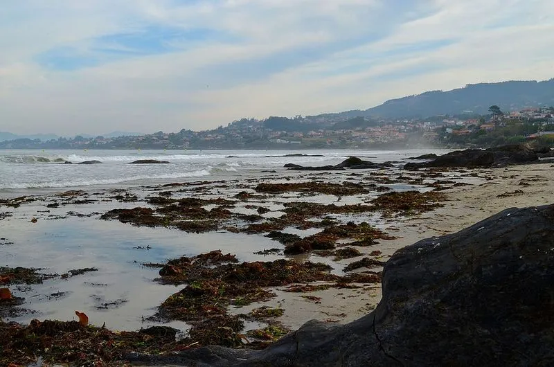 Playa de la Calita en Nigrán, Pontevedra — foto 5 de 5