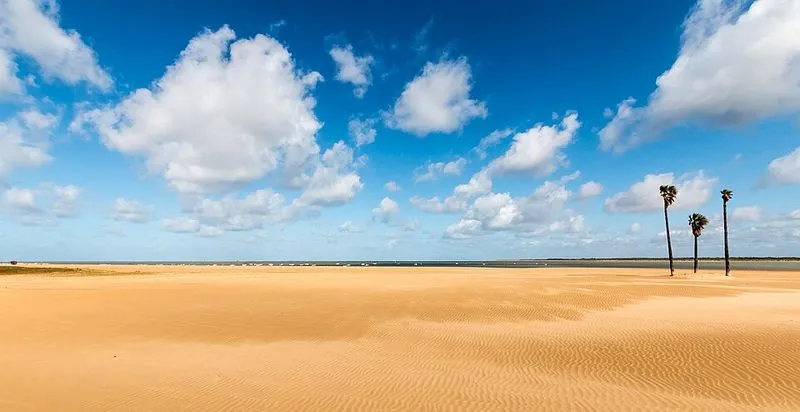 Playa La Calzada en Sanlúcar de Barrameda, Cádiz — foto 2 de 4