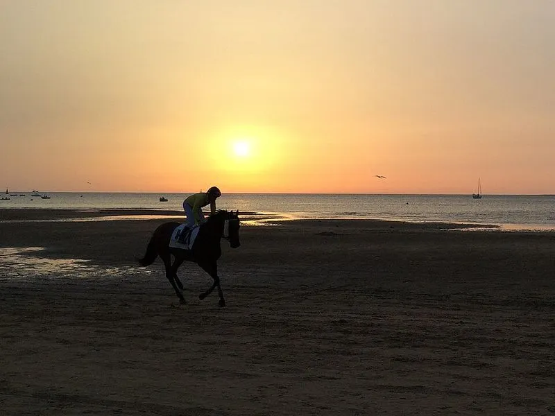 Playa La Calzada en Sanlúcar de Barrameda, Cádiz — foto 4 de 4