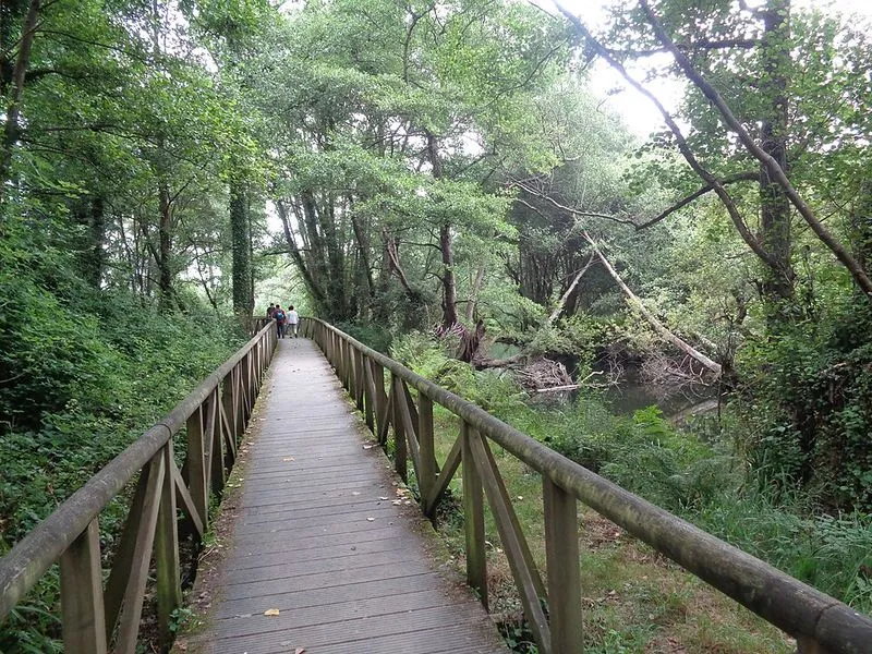 Playa de la Concha de Artedo en Cudillero, Asturias — foto 5 de 8