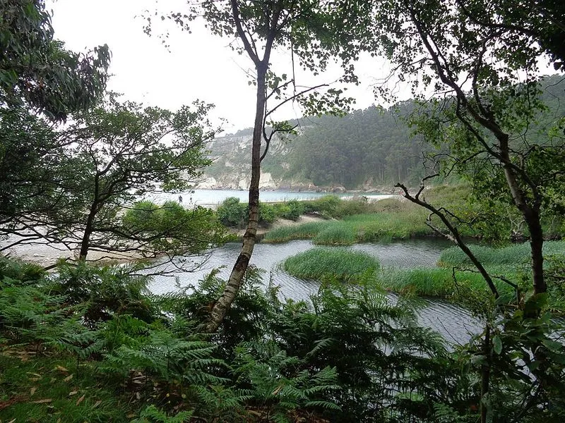 Playa de la Concha de Artedo en Cudillero, Asturias — foto 6 de 8