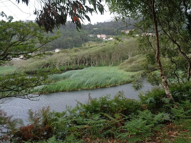 Playa de la Concha de Artedo en Cudillero, Asturias — foto 7 de 8
