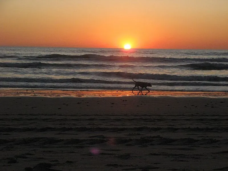 Playa de la Fontanilla en Conil de la Frontera, Cádiz — foto 4 de 4
