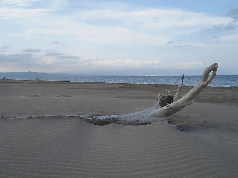 Playa La Marquesa en Deltebre, Tarragona — foto 2 de 2