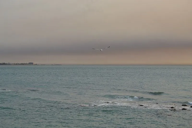 Playa La Muralla en El Puerto de Santa María, Cádiz — foto 3 de 7