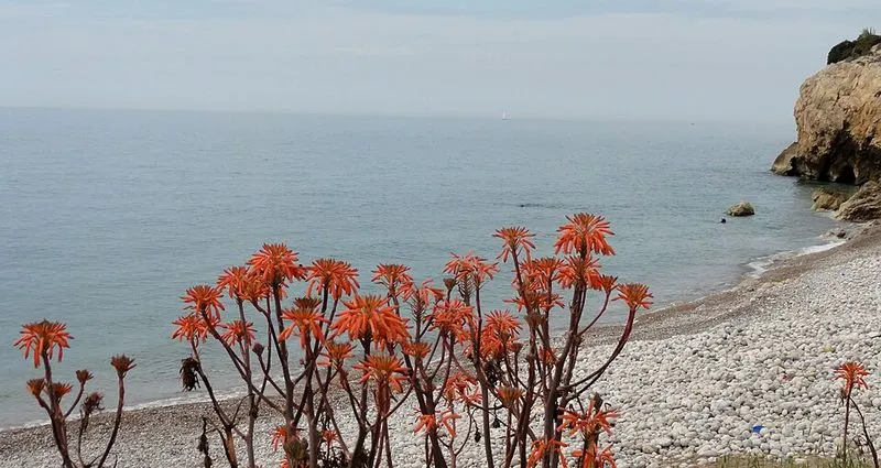 Playa de la Musclera en Arenys de Mar, Barcelona — foto 2 de 4