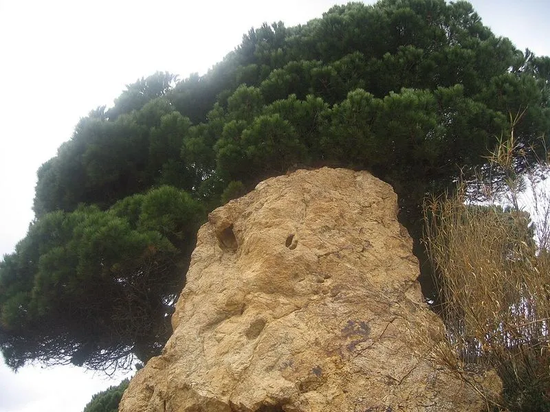 Playa de la Roca Grossa en Sant Pol de Mar, Barcelona — foto 8 de 10