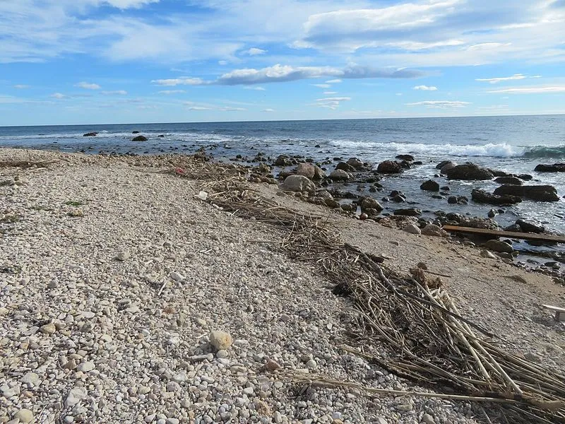 Playa de l'Almadrava en Vandellòs i l'Hospitalet de l'Infant, Tarragona — foto 5 de 9