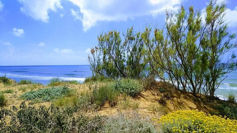 Playa Larga en Cartagena, Murcia — foto 2 de 5