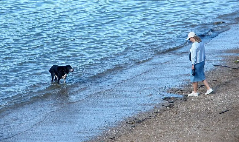 Playa de las Arenas en Getxo, Vizcaya — foto 7 de 7