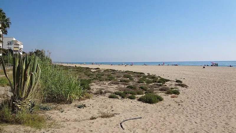 Playa de Les Guineus en Roda de Barà