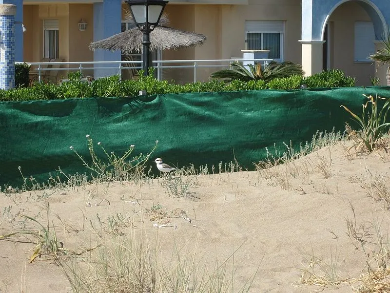 Playa de Les Marines en Dénia, Alicante — foto 2 de 5