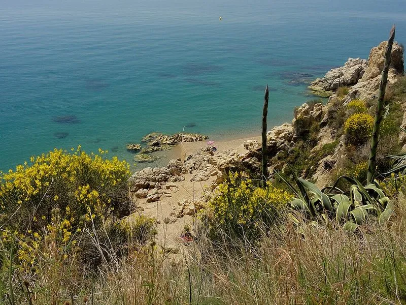Playa Les Roques en Calella, Barcelona — foto 10 de 10