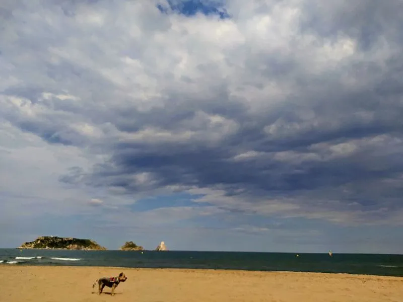 Playa de l'Estartit en Torroella de Montgrí, Gerona — foto 9 de 9