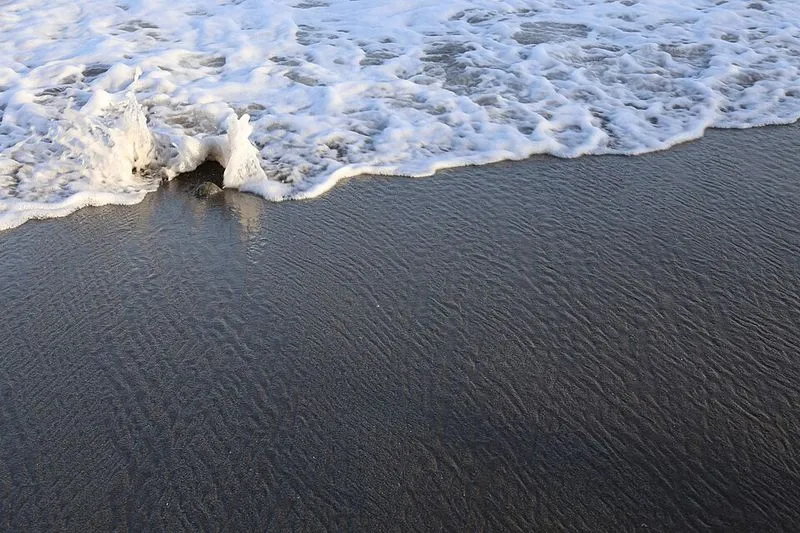 Playa Linda Vista en Marbella, Málaga — foto 3 de 3