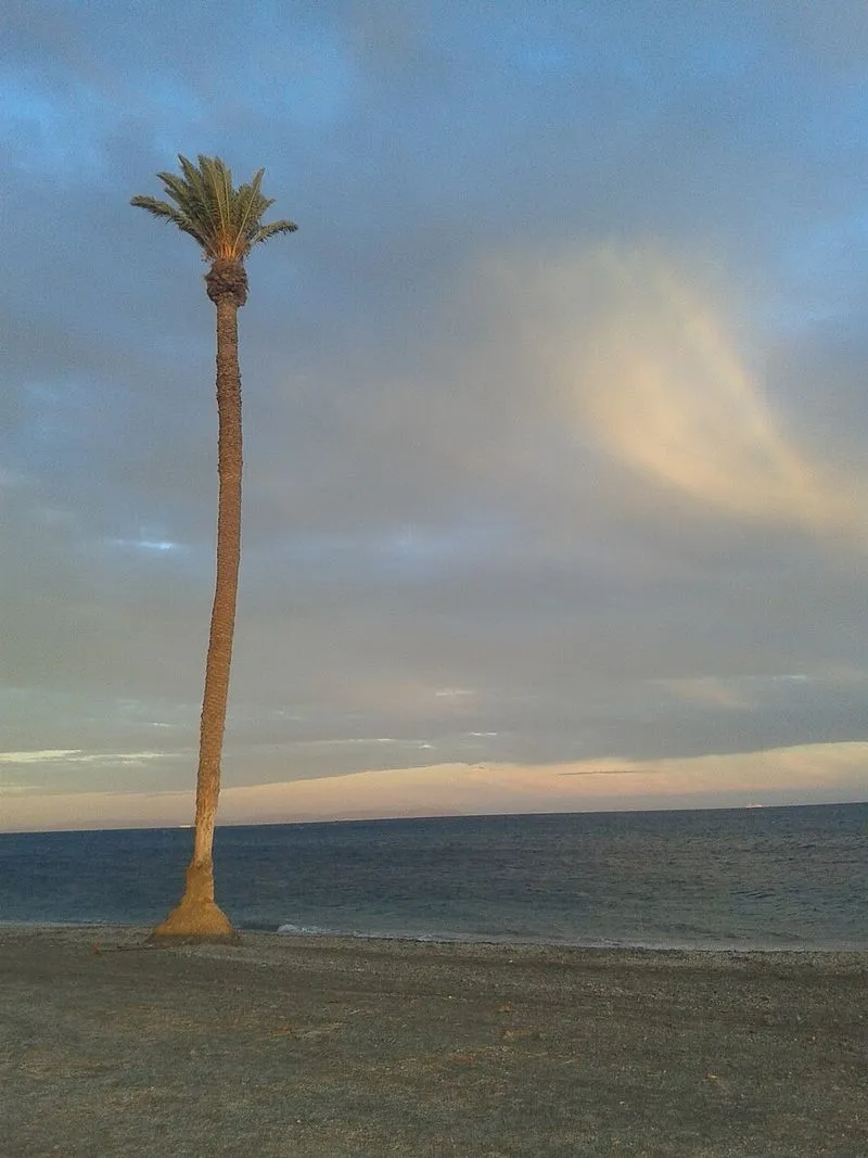 Playa de los Bajos en Roquetas de Mar, Almería — foto 1 de 2