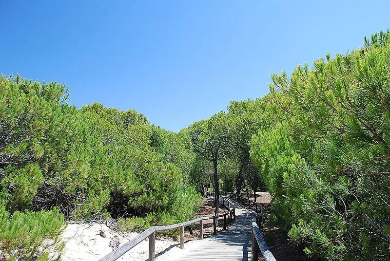 Playa Los Enebrales en Punta Umbría, Huelva — foto 2 de 4