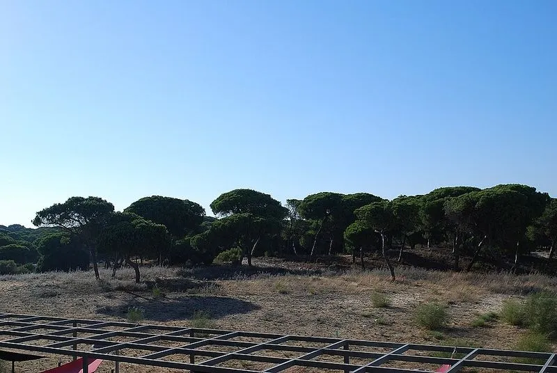 Playa Los Enebrales en Punta Umbría, Huelva — foto 4 de 4