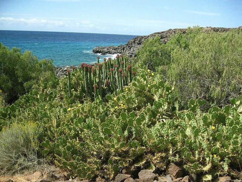 Playa Los Enojados en Arona, Santa Cruz de Tenerife — foto 2 de 5