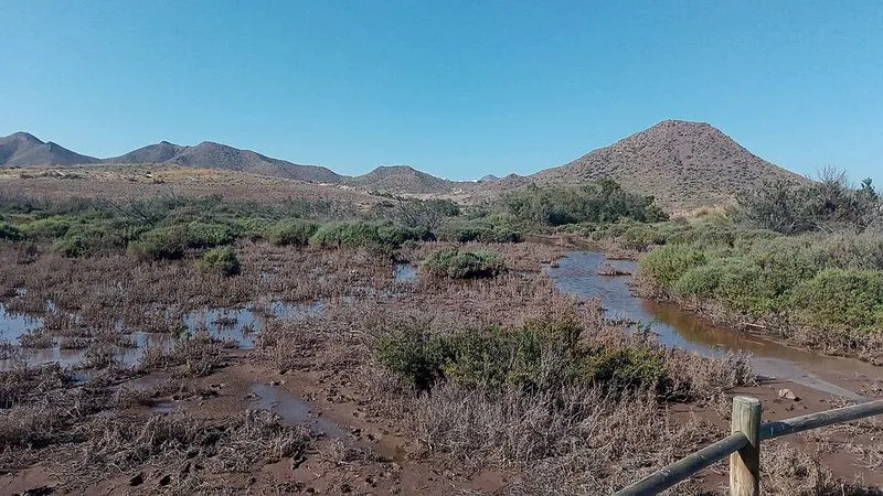 Playa de los Genoveses en Níjar, Almería — foto 7 de 7
