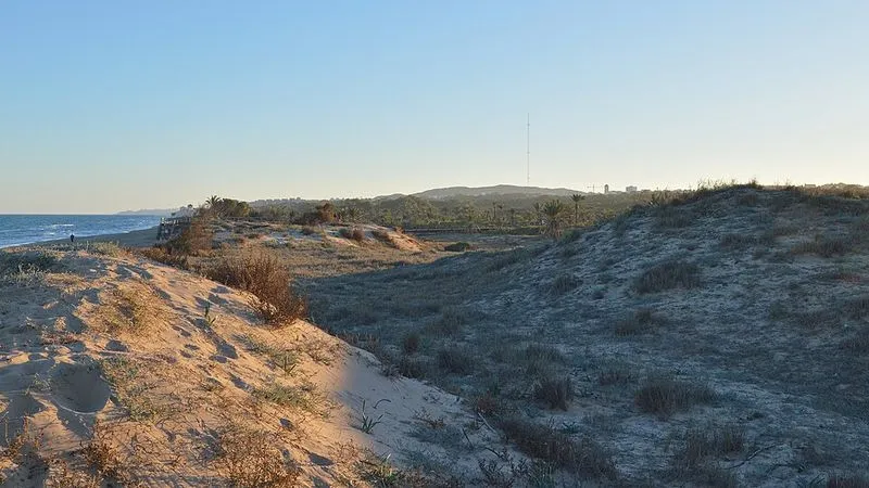Playa de los Viveros en Guardamar del Segura, Alicante — foto 1 de 3
