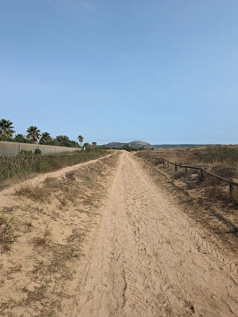 Playa Mas Pinell en Torroella de Montgrí, Gerona — foto 2 de 2