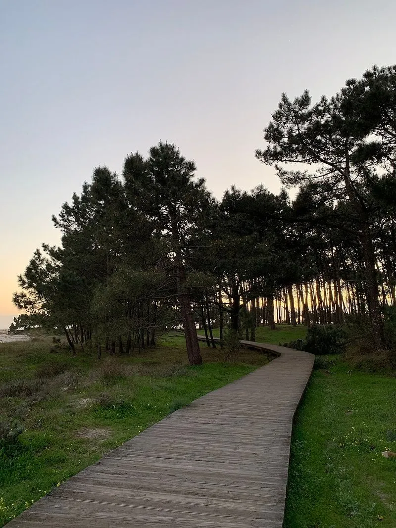 Playa de O Muiño en A Guarda, Pontevedra — foto 7 de 9