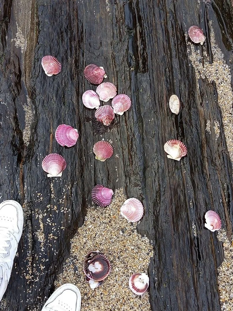 Playa Patos en Nigrán, Pontevedra — foto 2 de 10