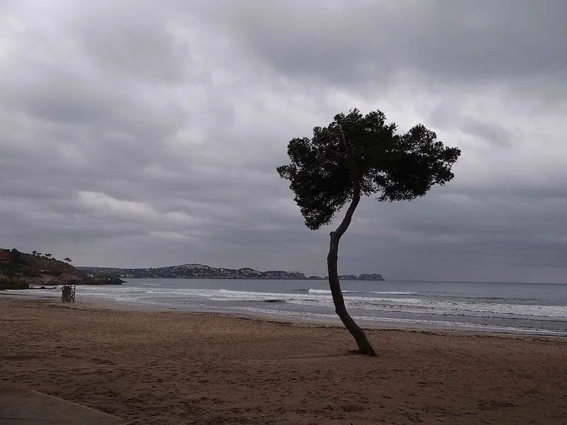 Playa de Peguera en Calvià, Islas Baleares — foto 4 de 5