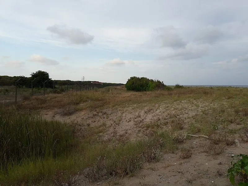 Playa Platja de la Murtra en Viladecans, Barcelona — foto 7 de 10