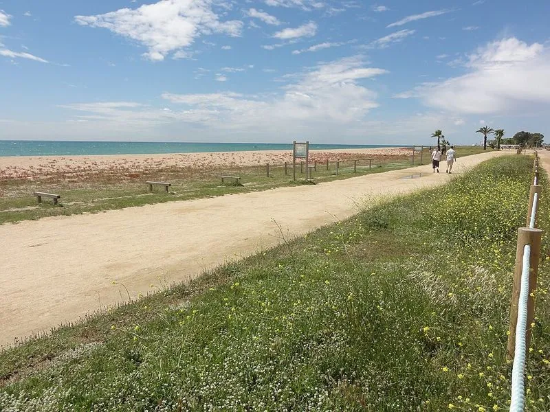 Platja de les Dunes en Santa Susanna, Barcelona — foto 7 de 10