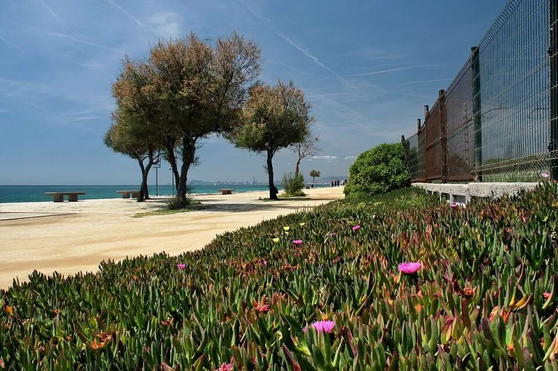 Playa Platja de Ponent en Premià de Mar, Barcelona — foto 3 de 6