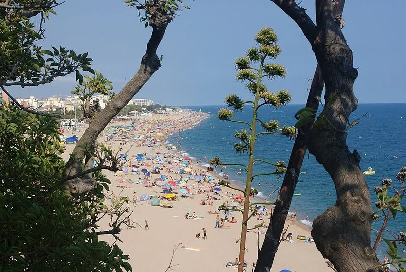 Playa Platja Gran en Calella, Barcelona — foto 7 de 8