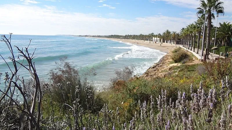 Platja Llarga en Roda de Barà, Tarragona — foto 3 de 3