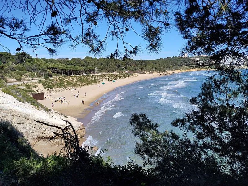 Platja Llarga en Roda de Barà