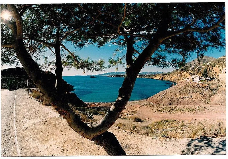 Playa Playa de La Puñeta en Mazarrón, Murcia — foto 5 de 5