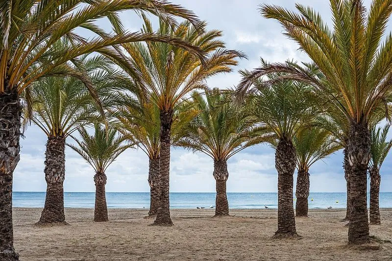 Playa Playa de Levante en Santa Pola, Alicante — foto 2 de 2