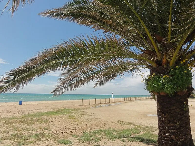 Playa Playa del Pins en Pineda de Mar, Barcelona — foto 3 de 6