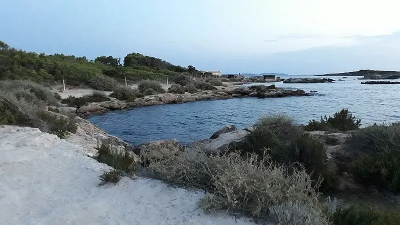 Playa de Playeta d'Es Delfí en Ses Salines, Islas Baleares — foto 2 de 2