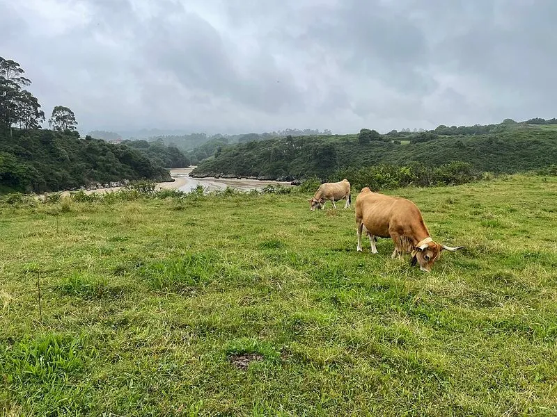 Playa Poo en Llanes, Asturias — foto 5 de 5