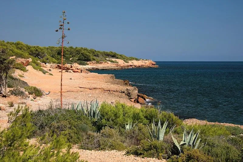 Playa de Port Olivet en L'Ametlla de Mar, Tarragona — foto 2 de 6
