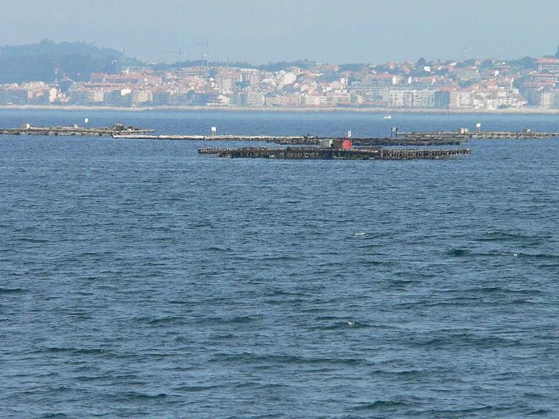Playa de Portomaior en Bueu, Pontevedra — foto 2 de 3