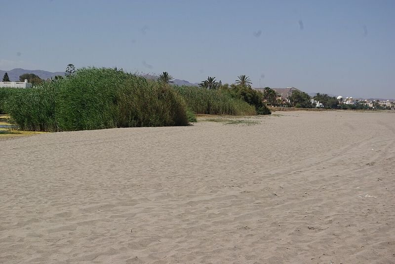 Playa Puerto Rey en Vera