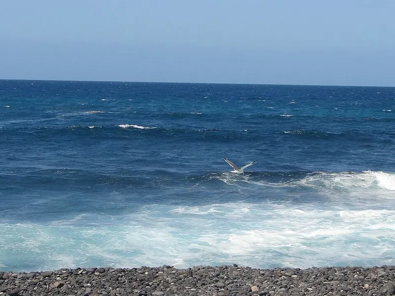 Playa Punta Blanca en Guía de Isora, Santa Cruz de Tenerife — foto 4 de 5