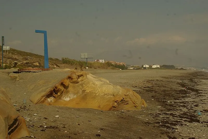 Playa Punta Chullera en Manilva, Málaga — foto 3 de 4