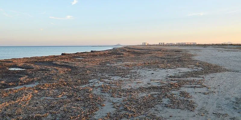 Playa de Punta de Algas (Playas de la Llana) en San Pedro del Pinatar, Murcia — foto 2 de 8