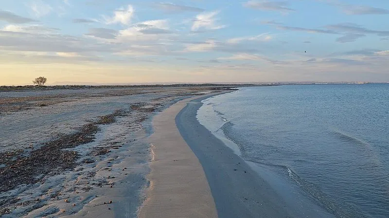 Playa de Punta de Algas (Playas de la Llana) en San Pedro del Pinatar, Murcia — foto 5 de 8