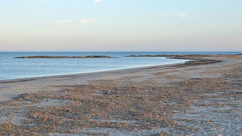 Playa de Punta de Algas (Playas de la Llana) en San Pedro del Pinatar, Murcia — foto 6 de 8