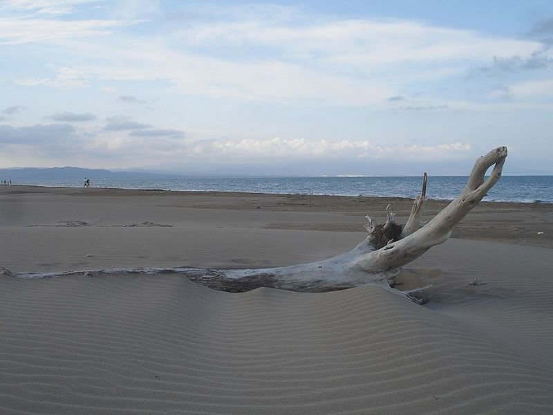 Playa Punta del Fangar en Deltebre