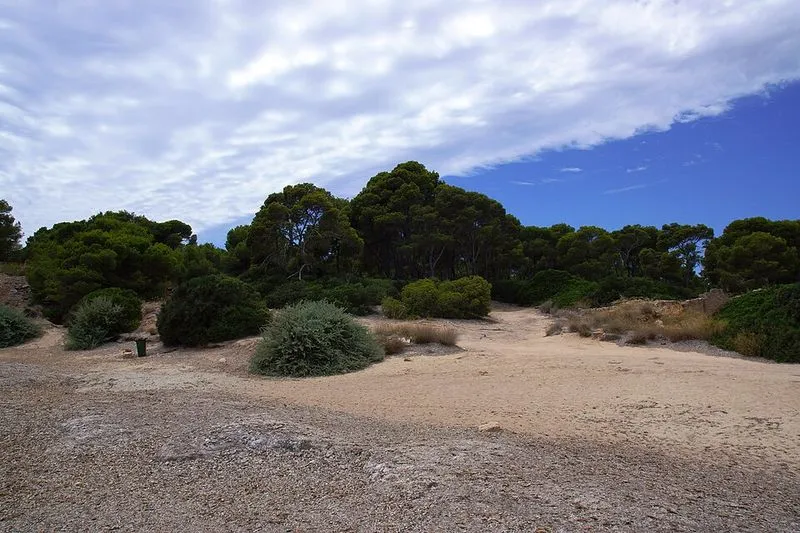 Racó de S'Arena en Llucmajor, Islas Baleares — foto 3 de 5